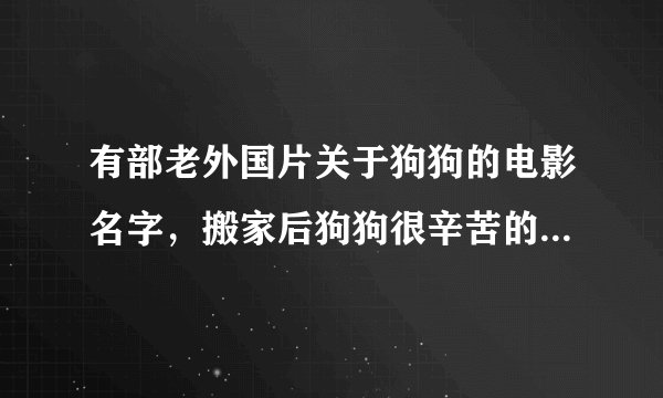 有部老外国片关于狗狗的电影名字，搬家后狗狗很辛苦的找到了自己的主人~