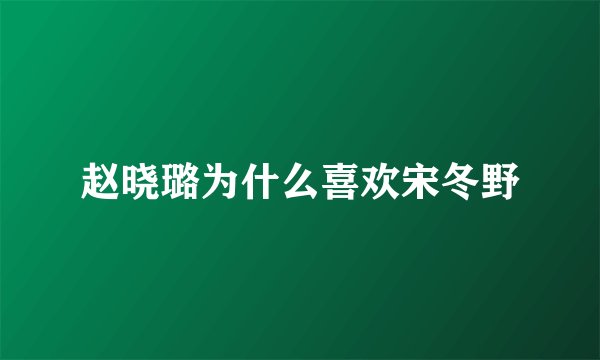 赵晓璐为什么喜欢宋冬野