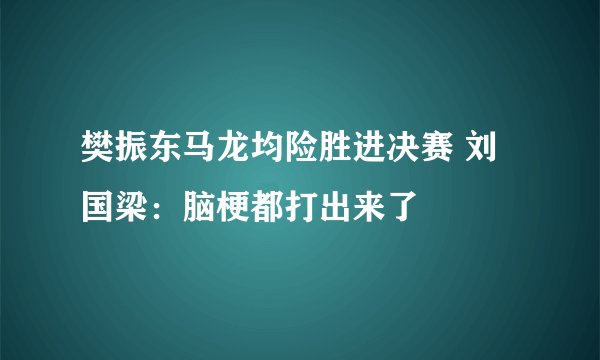 樊振东马龙均险胜进决赛 刘国梁：脑梗都打出来了