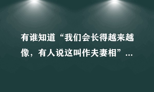 有谁知道“我们会长得越来越像，有人说这叫作夫妻相”是哪首歌？求全部该歌歌词。