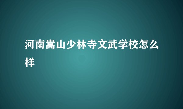 河南嵩山少林寺文武学校怎么样