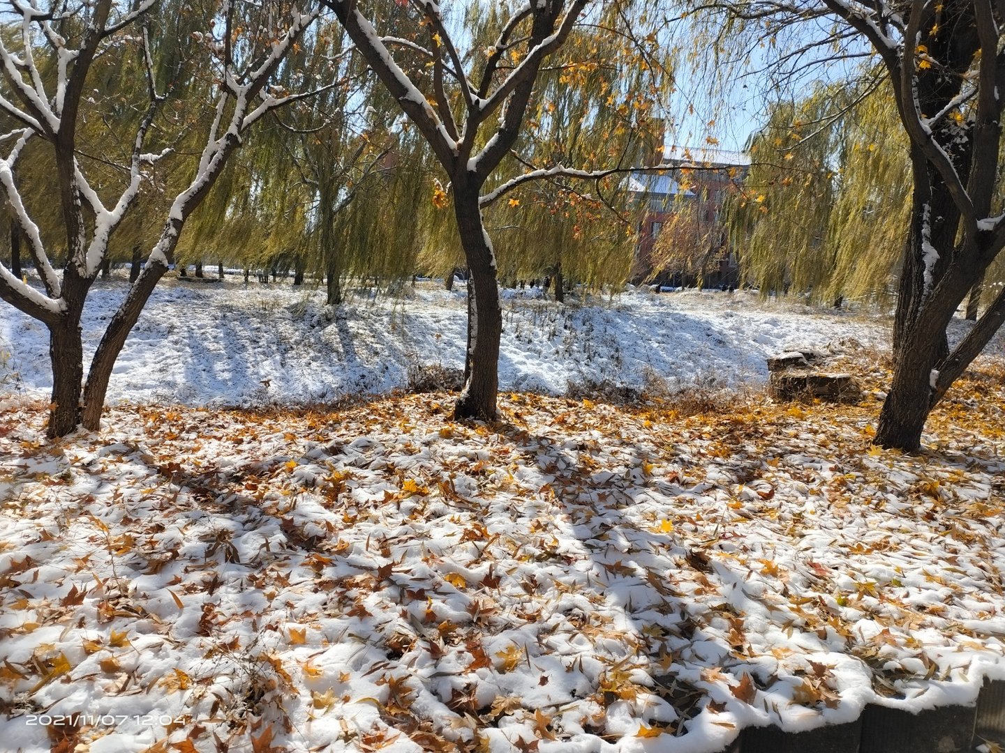 晋中学院怎么样?