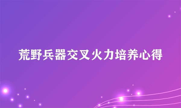 荒野兵器交叉火力培养心得