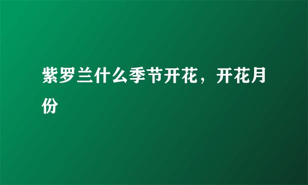 紫罗兰什么季节开花，开花月份