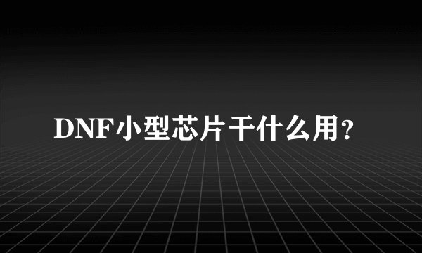 DNF小型芯片干什么用？