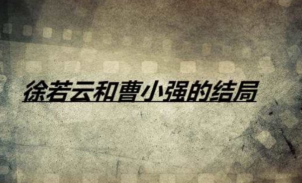 曹小强徐若云结局