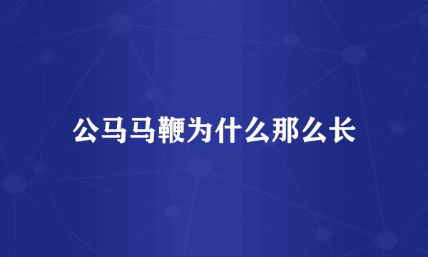 公马马鞭为什么那么长