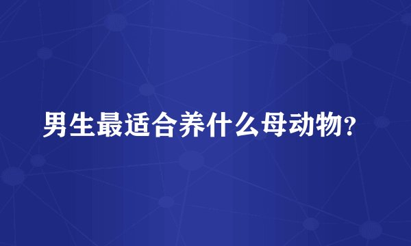 男生最适合养什么母动物？
