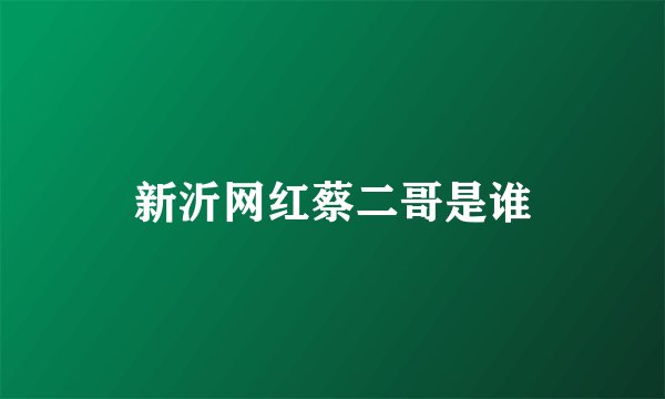 新沂网红蔡二哥是谁