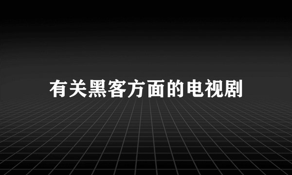 有关黑客方面的电视剧