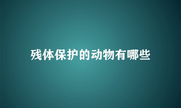 残体保护的动物有哪些