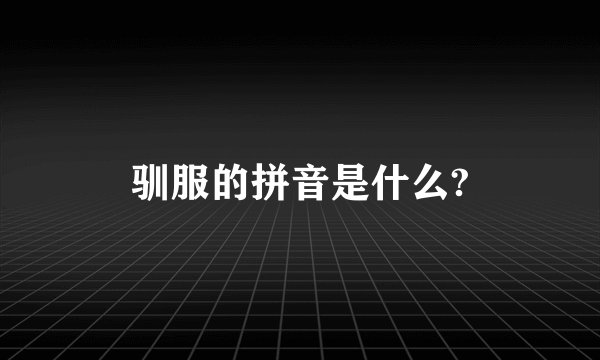 驯服的拼音是什么?