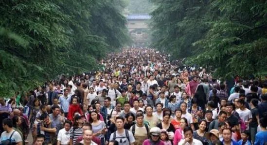 4口之家亲子游花费约2万,这样的消费算高吗?