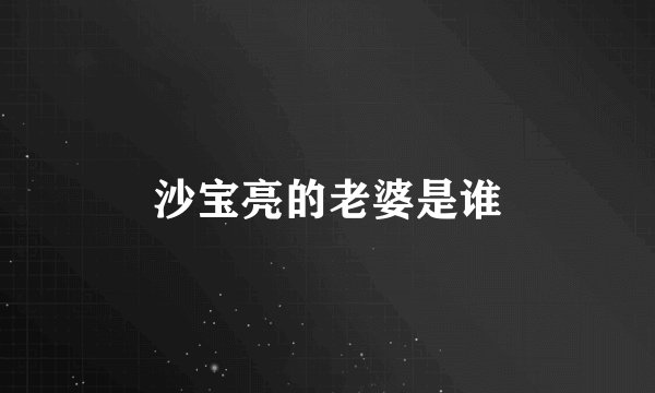 沙宝亮的老婆是谁