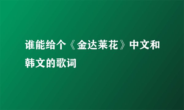 谁能给个《金达莱花》中文和韩文的歌词
