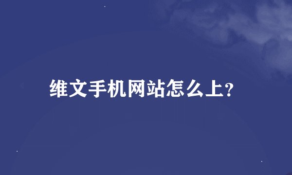 维文手机网站怎么上？