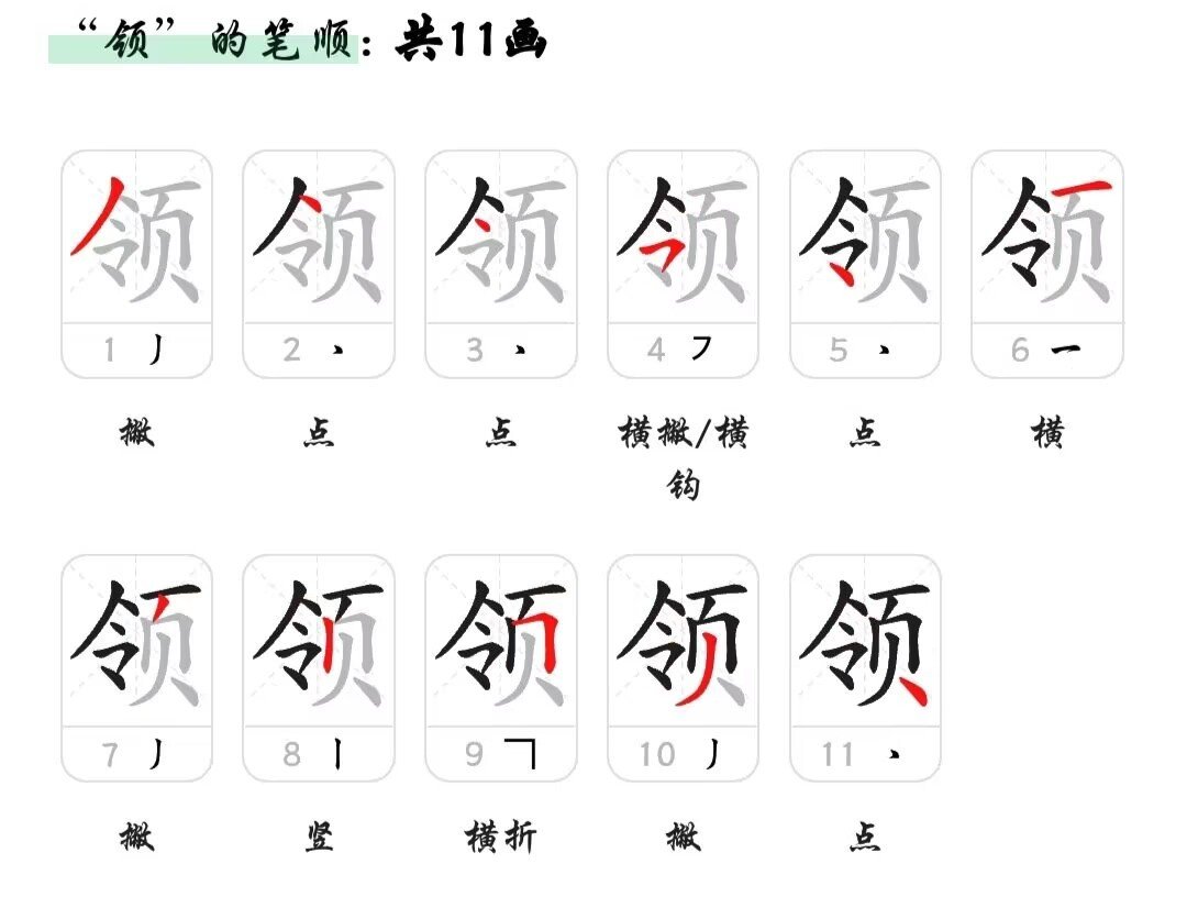 领的笔画笔顺