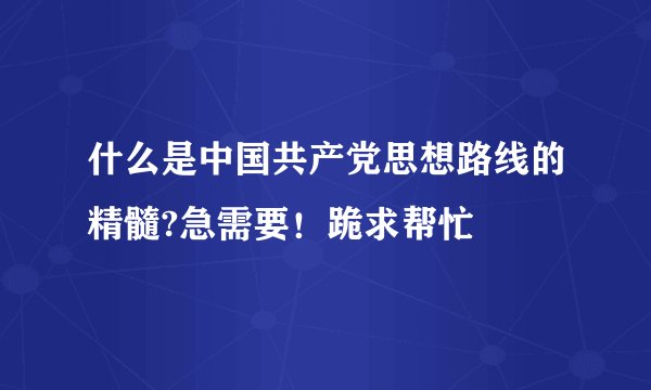 什么是中国共产党思想路线的精髓?急需要!跪求帮忙