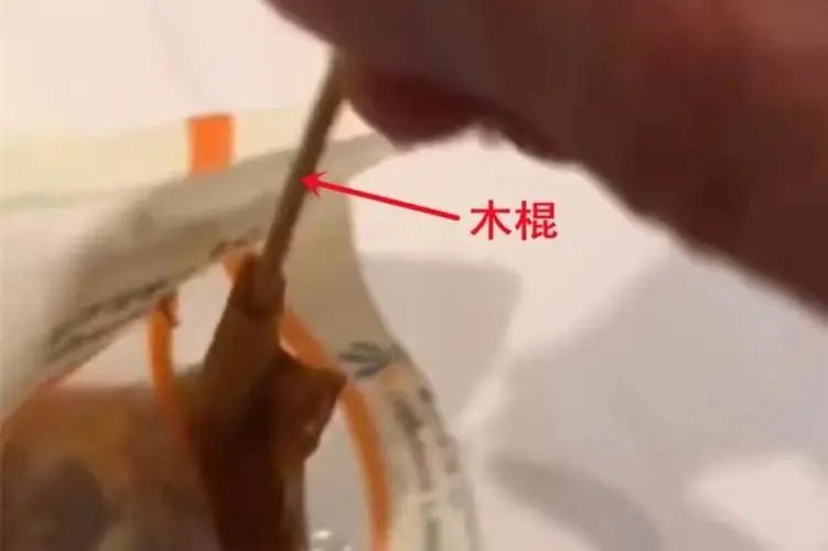 金华男子啃速食鸭腿时发现骨头由“木棍”拼接，鸭架骨怎么变成了一截木棍？