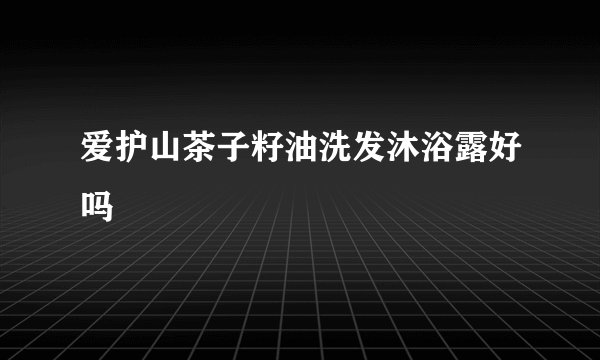 爱护山茶子籽油洗发沐浴露好吗