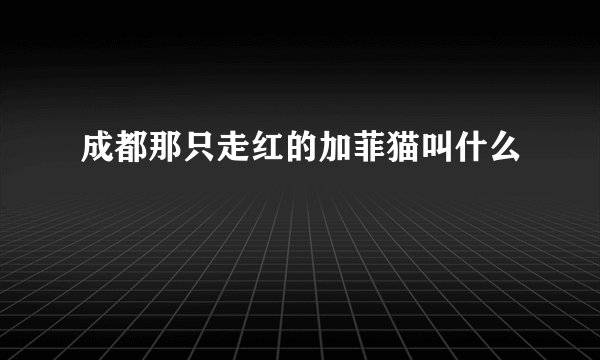 成都那只走红的加菲猫叫什么