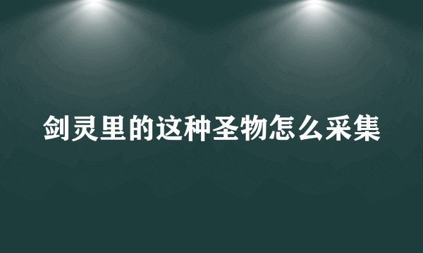 剑灵里的这种圣物怎么采集