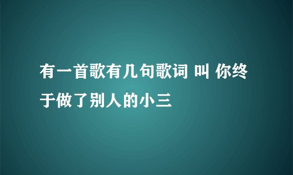 有一首歌有几句歌词 叫 你终于做了别人的小三
