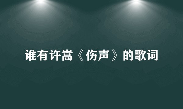 谁有许嵩《伤声》的歌词