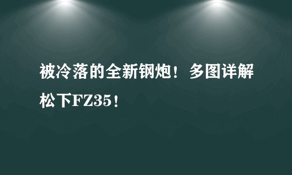 被冷落的全新钢炮！多图详解松下FZ35！