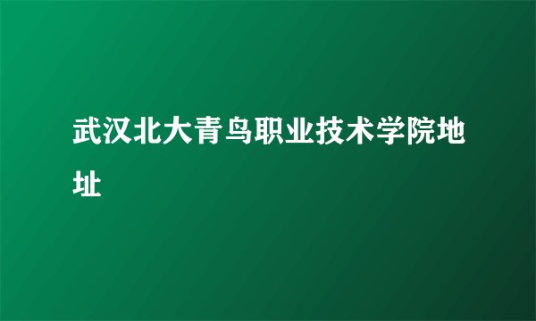 武汉北大青鸟职业技术学院地址