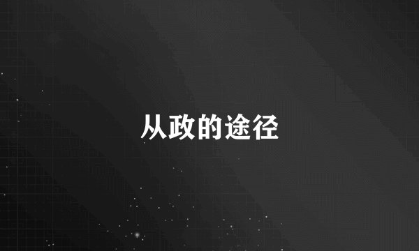 从政的途径