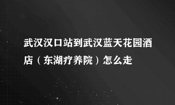 武汉汉口站到武汉蓝天花园酒店（东湖疗养院）怎么走