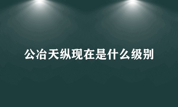 公冶天纵现在是什么级别
