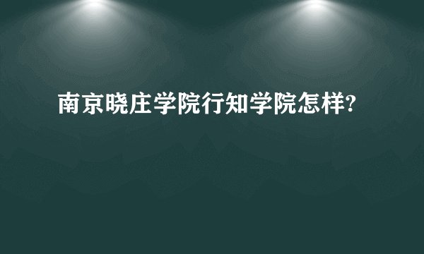 南京晓庄学院行知学院怎样?