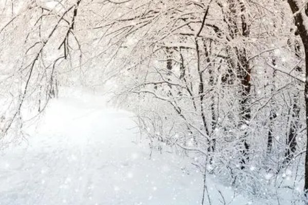 小雪时节的诗句 蚂蚁庄园