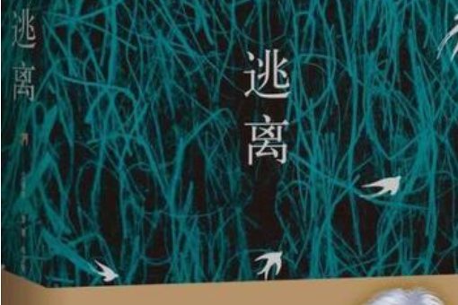 getout是什么意思