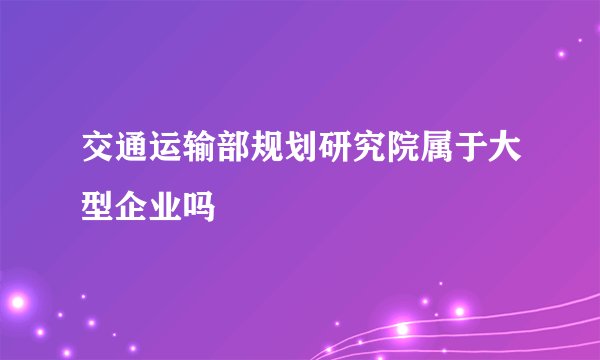 交通运输部规划研究院属于大型企业吗