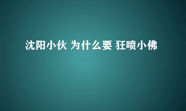沈阳小伙 为什么要 狂喷小佛