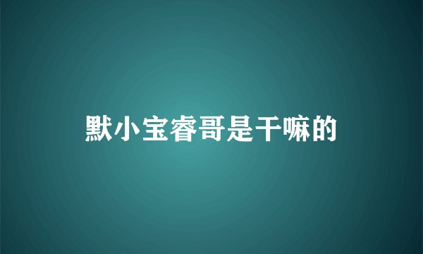 默小宝睿哥是干嘛的