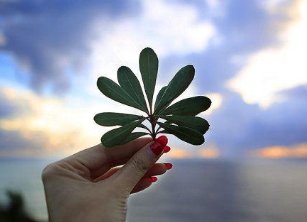 我该如何与内心的恶魔战斗并打败它们?