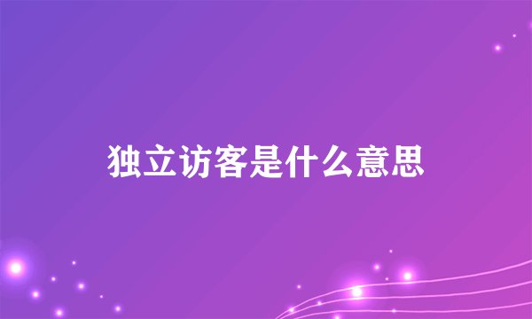 独立访客是什么意思