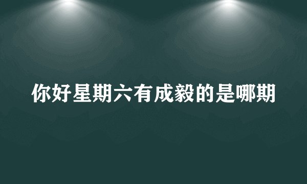 你好星期六有成毅的是哪期