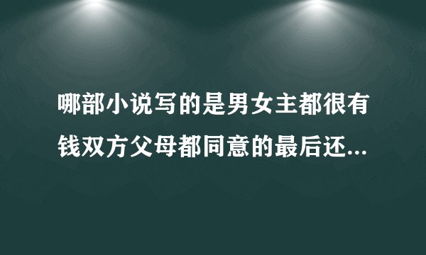 哪部小说写的是男女主都很有钱双方父母都同意的最后还生了两个孩子校园小说