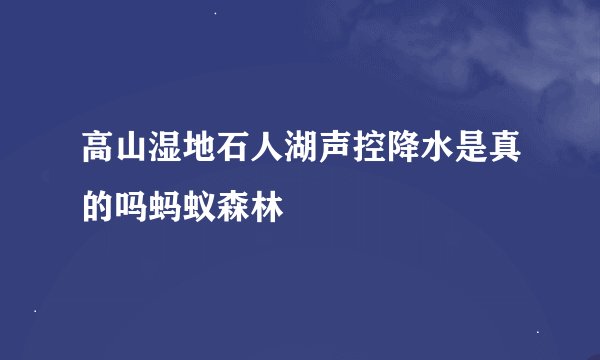高山湿地石人湖声控降水是真的吗蚂蚁森林