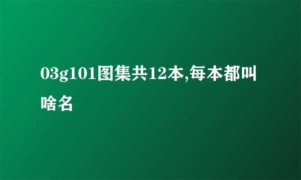 03g101图集共12本,每本都叫啥名