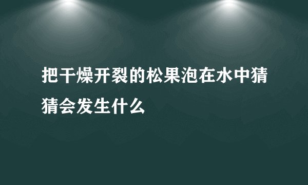 把干燥开裂的松果泡在水中猜猜会发生什么
