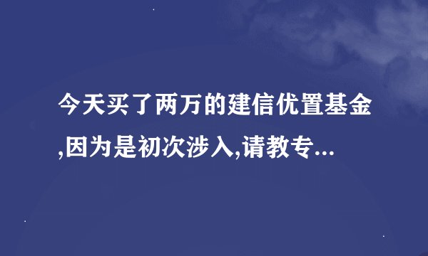 今天买了两万的建信优置基金,因为是初次涉入,请教专业人士这支基金怎么样?