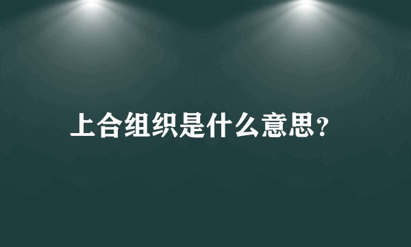 上合组织是什么意思？