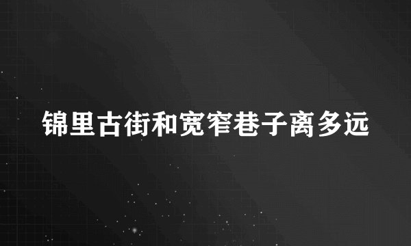 锦里古街和宽窄巷子离多远