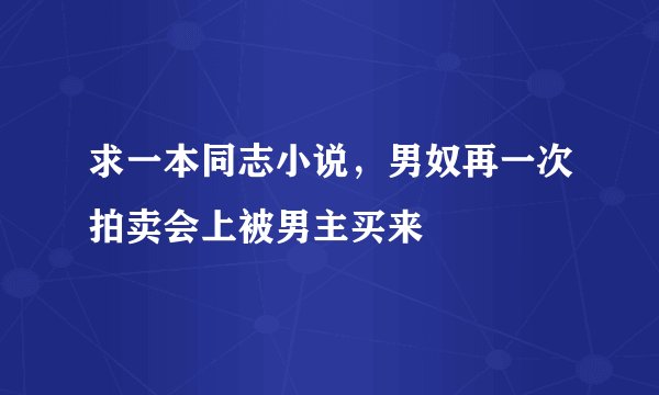 求一本同志小说，男奴再一次拍卖会上被男主买来